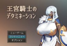 Okyuu Kishi no Determination (4005194)