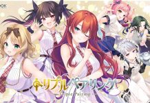 Triple Pairing Deluxe Limited Edition + Tokuten + Manual (Crack)