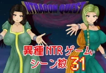 NTRAGON QUEST (RJ01598593)