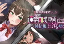 Tsugaku Chikan Sharyou ~Junjou JK, Inyoku ni Datsu~ (RJ01668207)